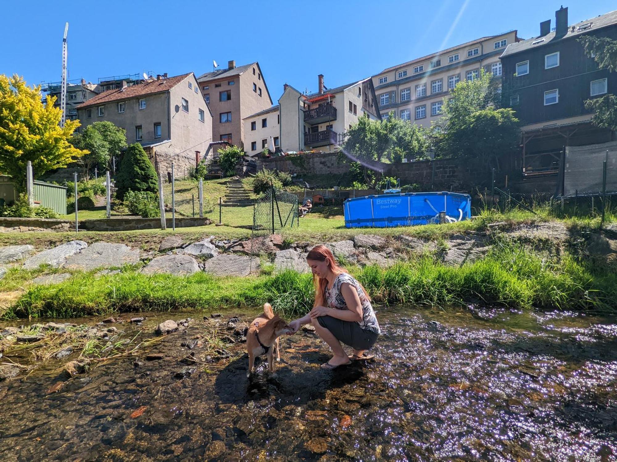 Uo2 - Urlaubsmagie - Garten, Whirlpool, Sauna Apartment Sebnitz Exterior foto